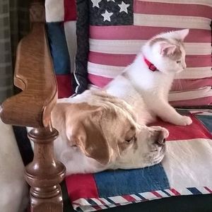 Meet your Posher, Brenda